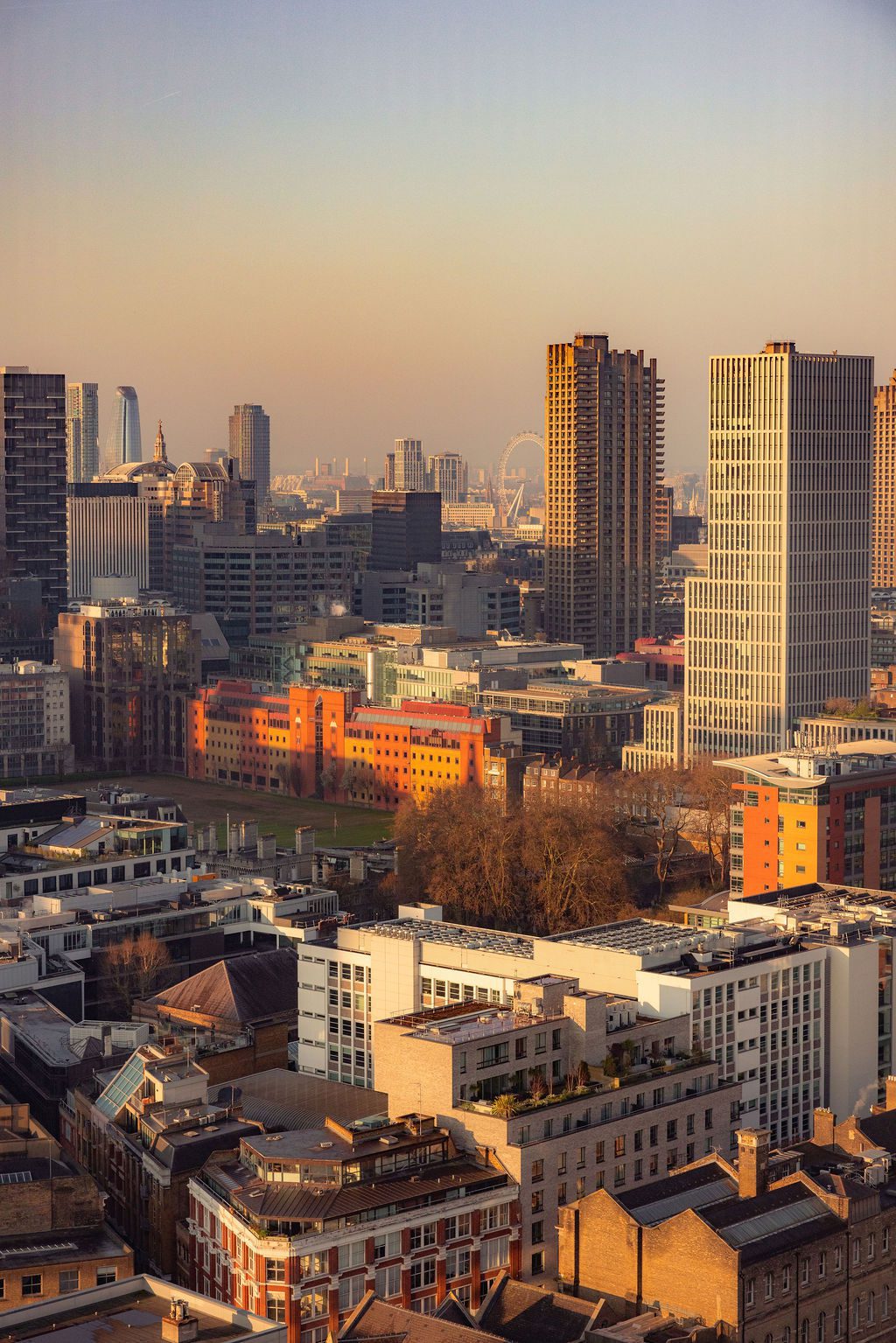 Solaya Rebeccahopephotography 1578