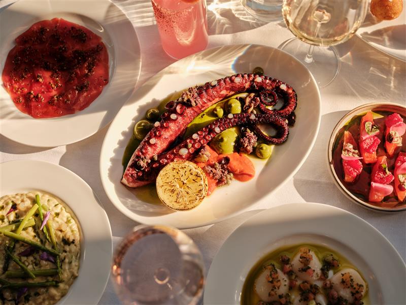Roasted Octopus With Kalamata Tapenade, Roasted Tomato And Wild Herb Emulsion Landscape